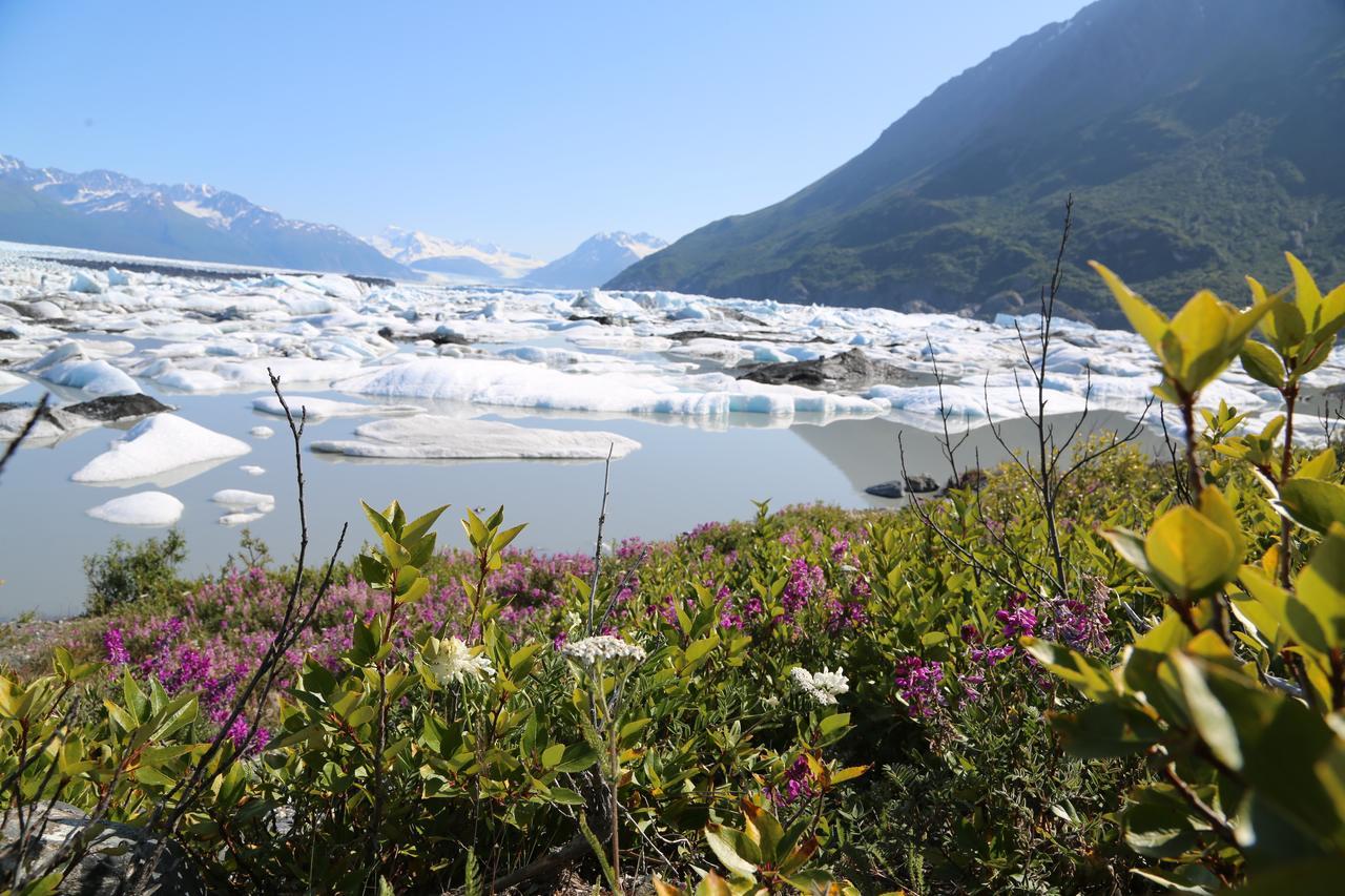 Alaska Glacier Lodge 帕尔默 外观 照片